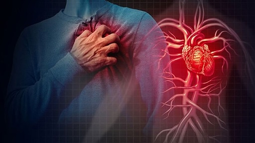 Rau cải đắng giúp hệ tim mạch khỏe mạnh