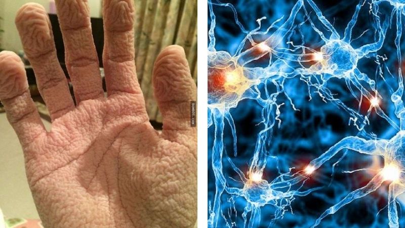 da tay hay bị nhăn khi gặp nước