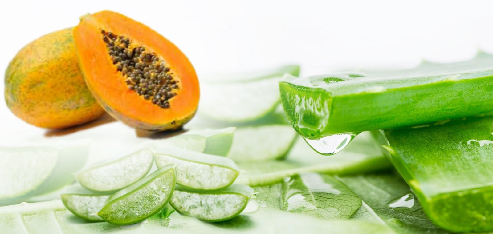 cách làm đẹp với nha đam tươi