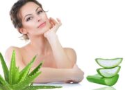 Tác dụng của cây nha đam với da mặt